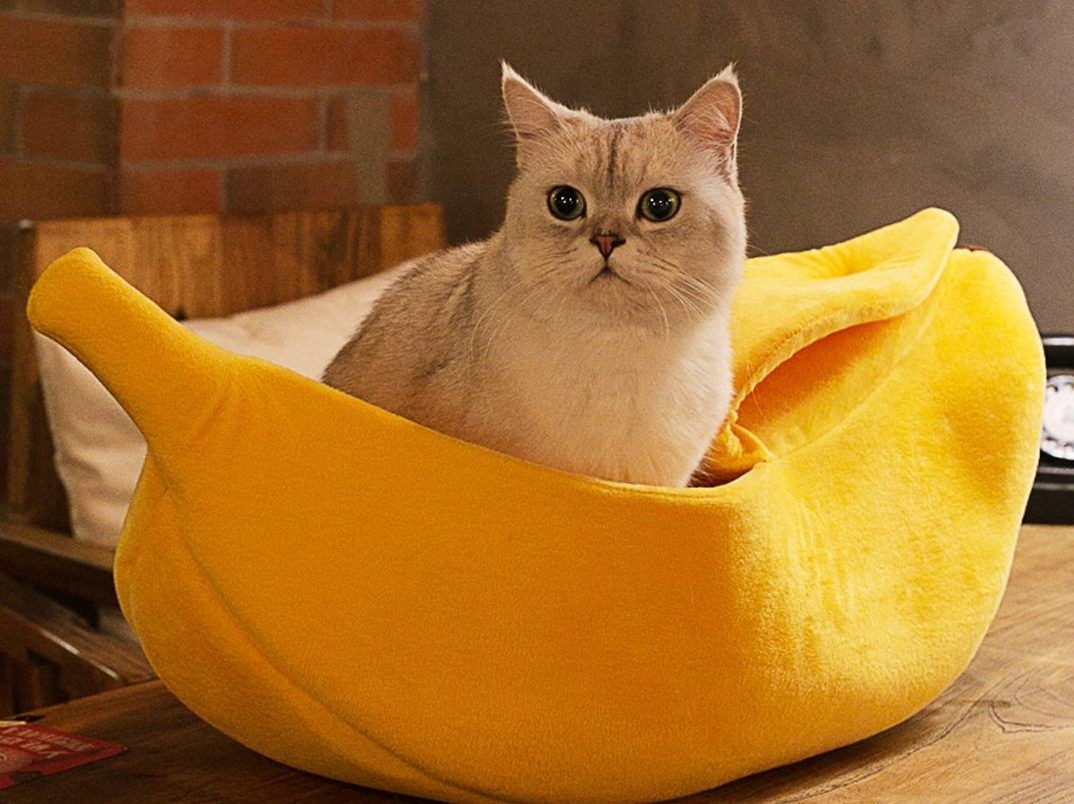 7. Мой плюшевый мир
