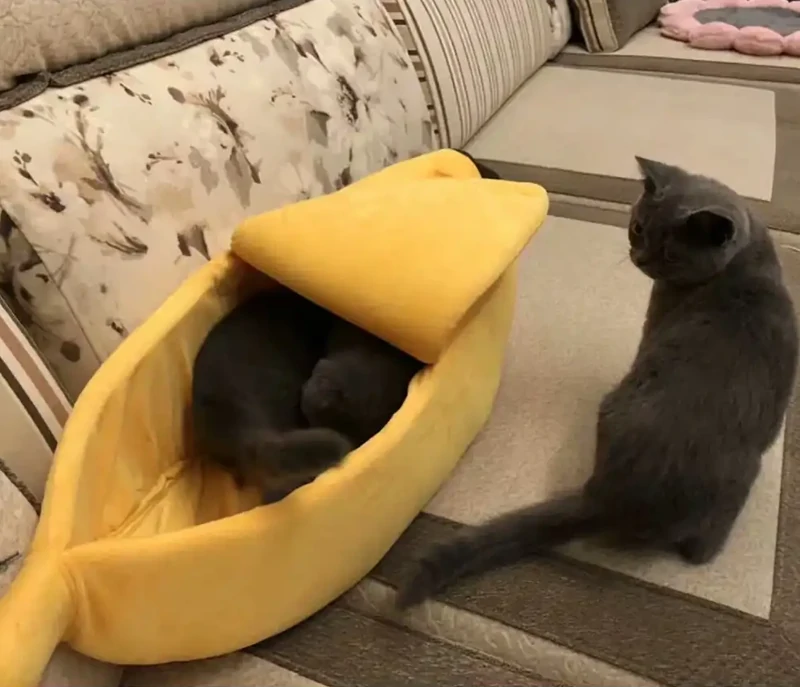 15. Места хватит на всех