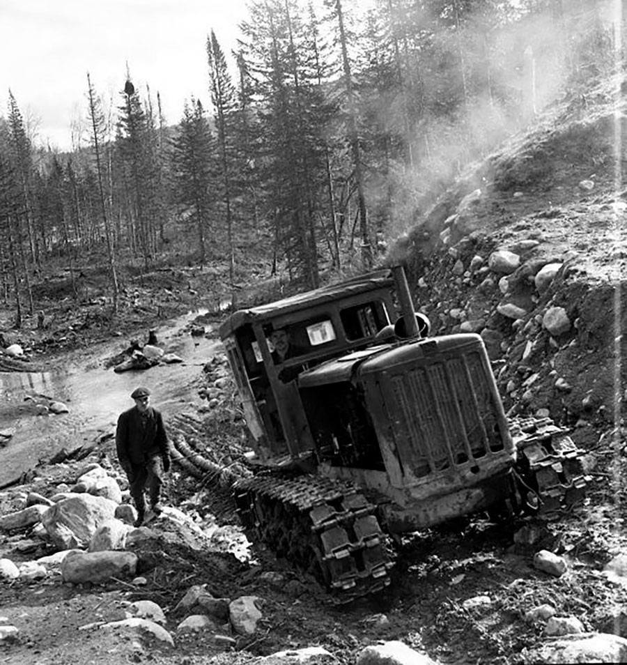 Работы на просеке в Алтае, кон. 1950-х - нач. 1960-х