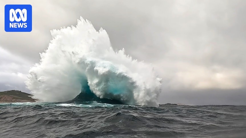 Четыре волны в одном месте: австралийские сёрферы нашли «взрывающийся» океанский феномен