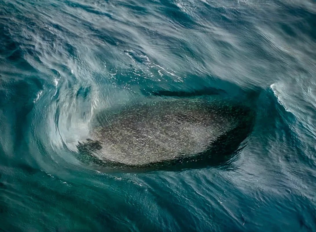 Четыре волны в одном месте: австралийские сёрферы нашли «взрывающийся» океанский феномен
