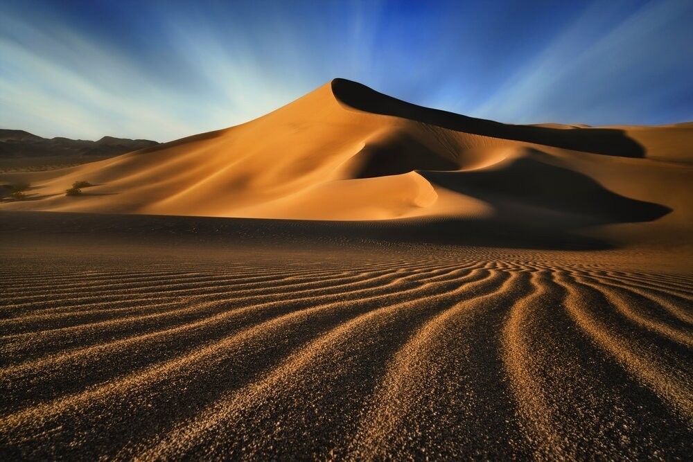 Лауреат премии Невероятный горизонт 2020. Дюна. Фотограф Эван Уилл