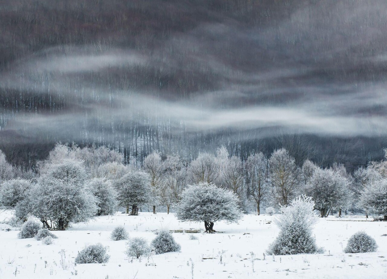 Лауреат специальной тематической премии Снег и лёд 2021. Автор Миммо Сальерно