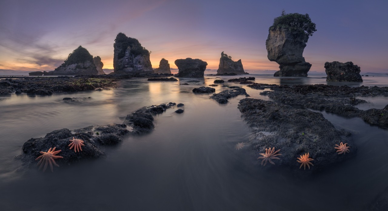 Финалист, 2020. Берег Новой Зеландии. Автор Сергей Алещенко