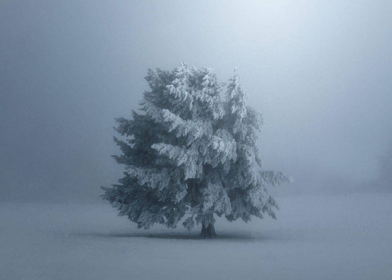 Финалист, 2021. В одиночестве. Мадрид, Испания. Автор Альберто Альваро