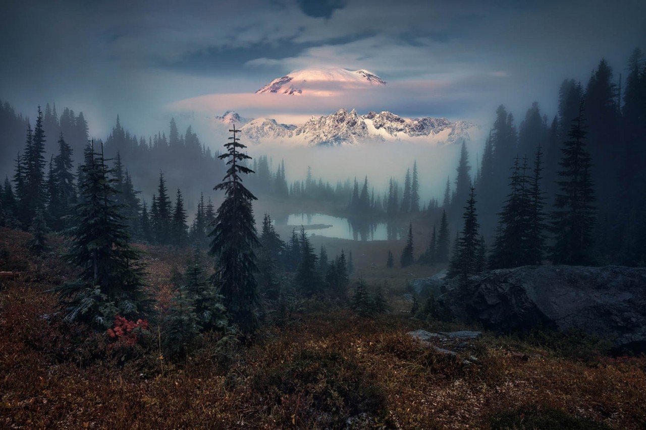 Финалист, 2020. Рейнир, лес и озеро. Автор Феликс Рёзер