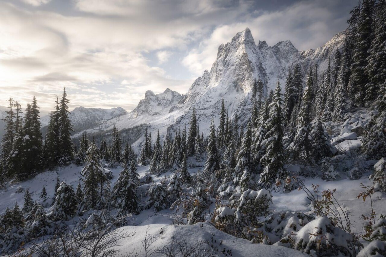 Финалист, 2021. Королевство Зимы. Британская Колумбия, Канада. Автор Мэтт Джекиш