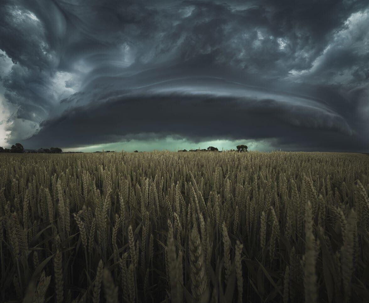 Финалист, 2021. Возле Моддергата, Нидерланды. Автор Дэниел Лаан