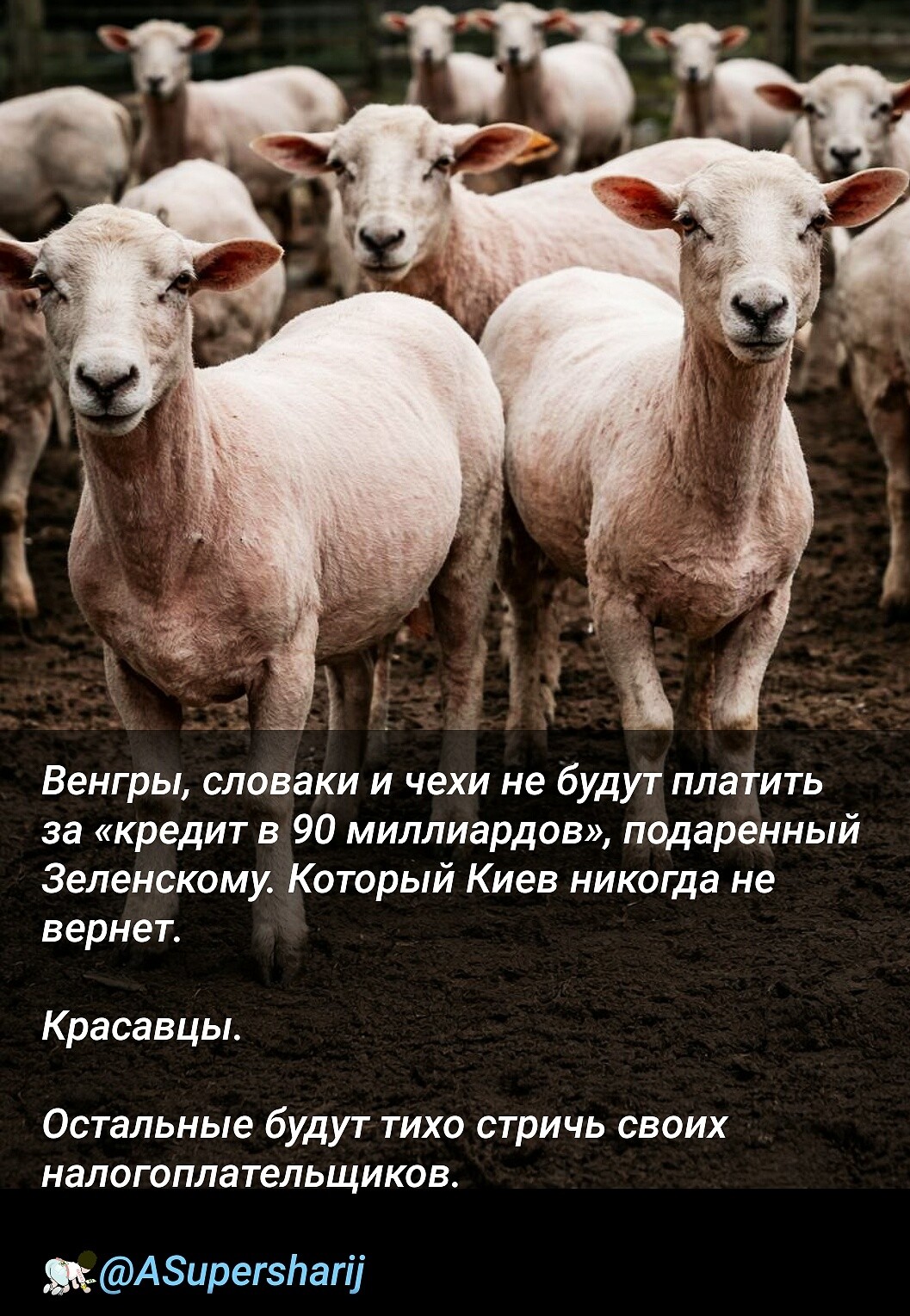 Политическая рубрика от&nbsp;NAZARETH за&nbsp;21.12.25. Новости, события, комментарии - 1960