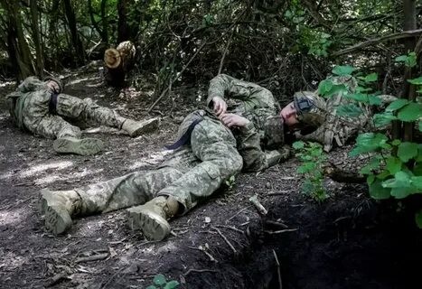Трупная вонь и хаос. Наемники ВСУ взбесились и бросаются рвать командиров