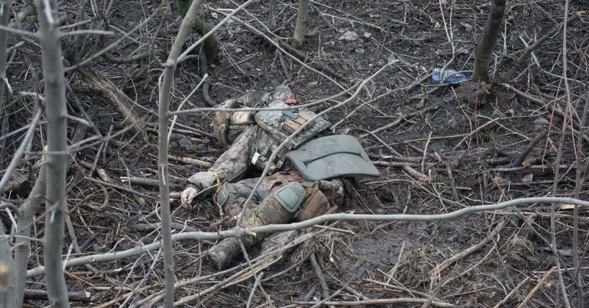 Трупная вонь и хаос. Наемники ВСУ взбесились и бросаются рвать командиров