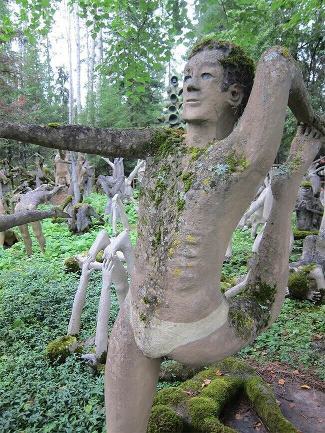 14 инфарктов, 3 сошедших с ума, 1 млн туристов ежегодно: что сотворил в лесу рядовой рабочий завода