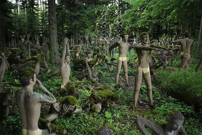 14 инфарктов, 3 сошедших с ума, 1 млн туристов ежегодно: что сотворил в лесу рядовой рабочий завода