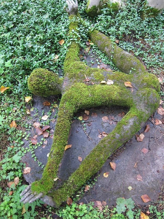 14 инфарктов, 3 сошедших с ума, 1 млн туристов ежегодно: что сотворил в лесу рядовой рабочий завода