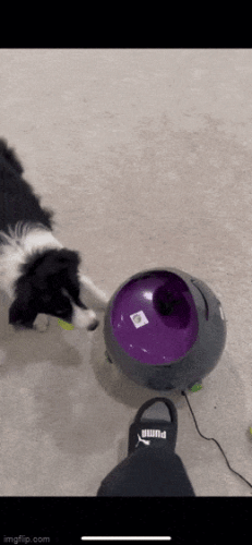 Просто гифки, всякие и&nbsp;разные