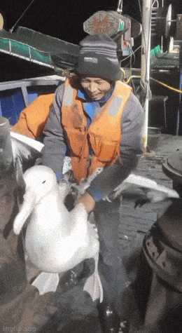 Просто гифки, всякие и&nbsp;разные