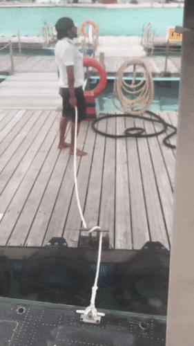 Просто гифки, всякие и&nbsp;разные