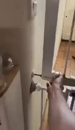 Просто гифки, всякие и&nbsp;разные