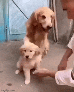 Просто гифки, всякие и&nbsp;разные