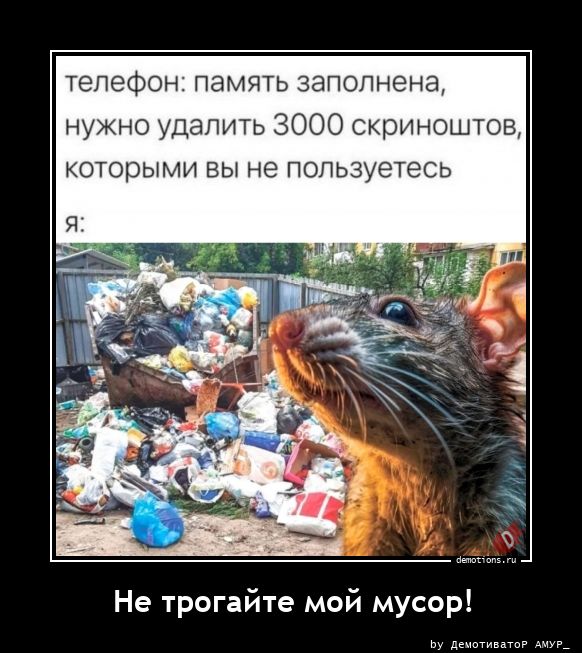 Подборка интересных демотиваторов на понедельник