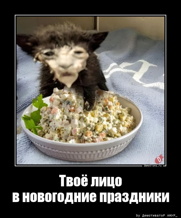 Подборка интересных демотиваторов на понедельник