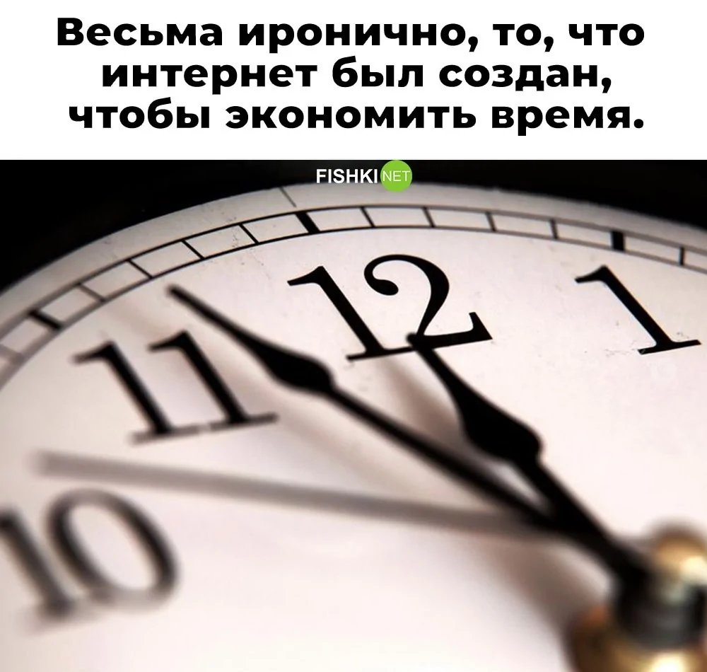 33.png.jpeg.webp