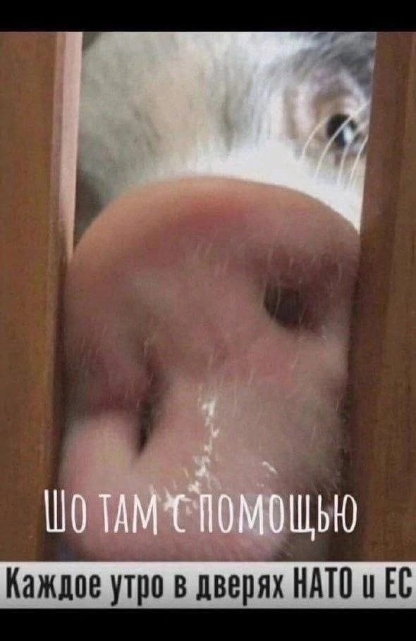 О политике , лишь о ней с небольшой оговоркой