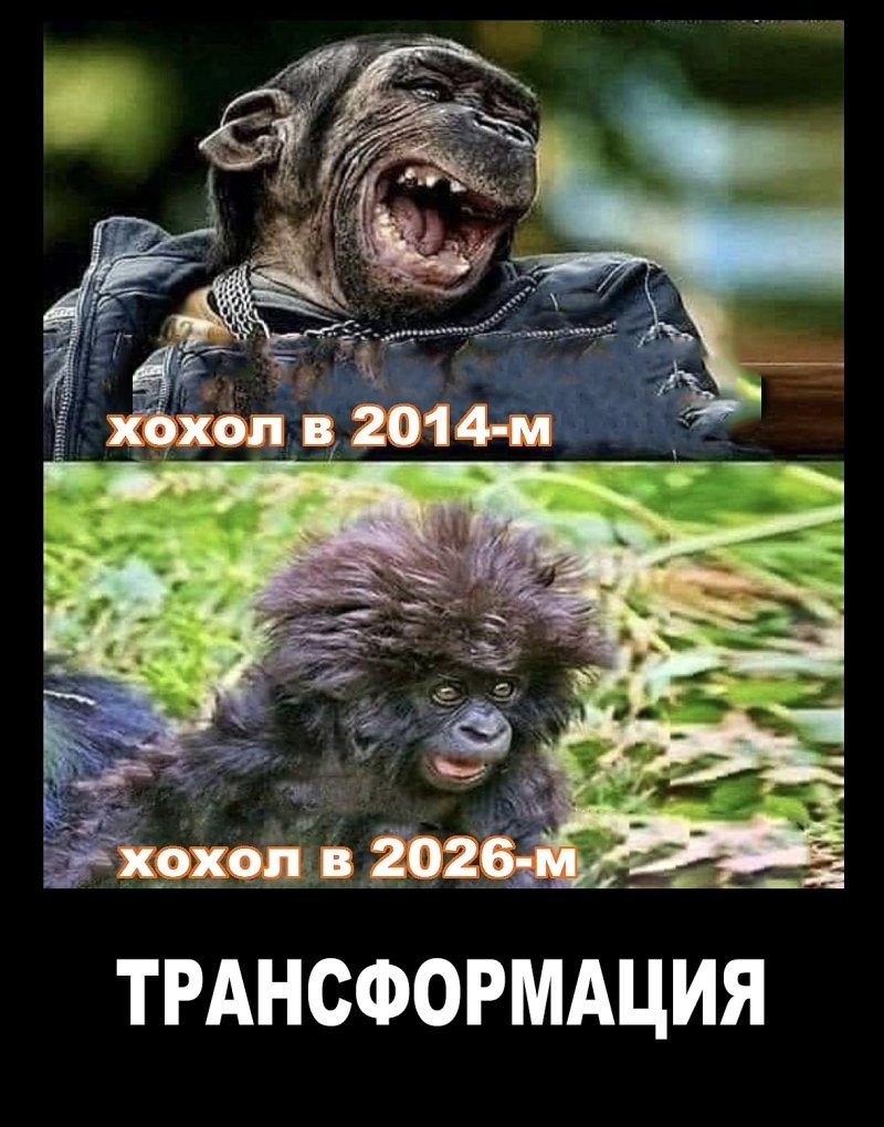 О политике , лишь о ней с небольшой оговоркой
