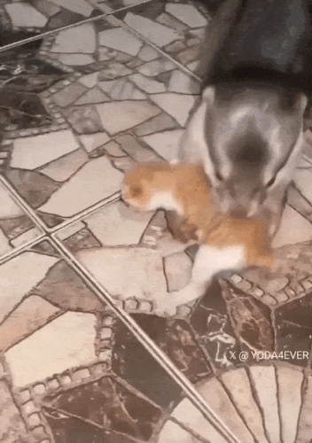 Просто гифки, всякие и&nbsp;разные