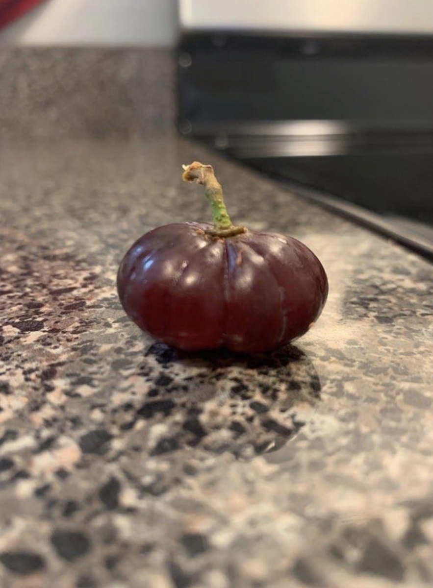 25 запутанных фотографий овощей и фруктов