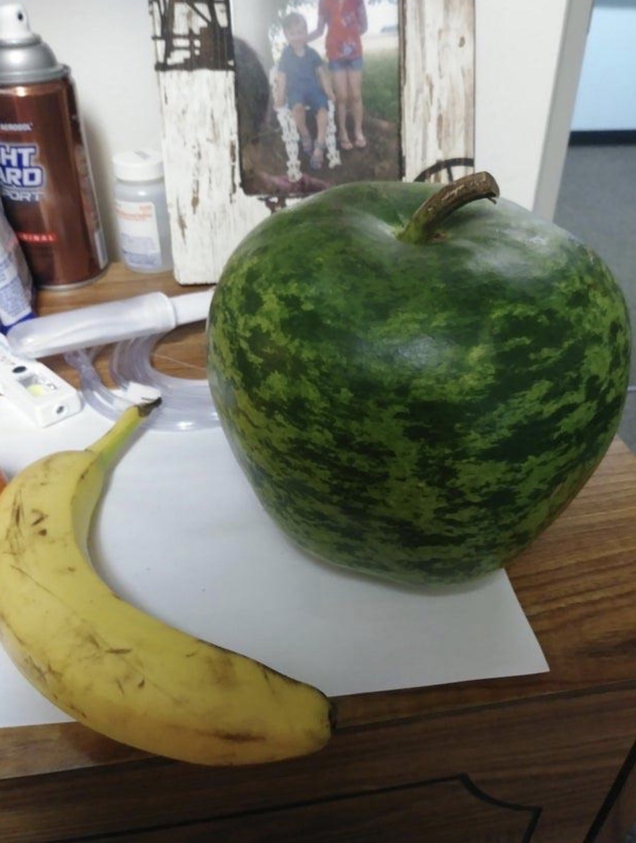 Эта тыква выглядит как арбуз в форме яблока