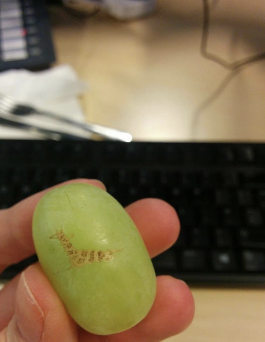 На кожуре этого винограда есть жираф