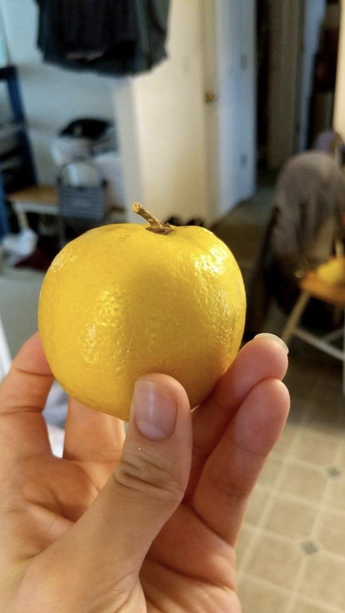 25 запутанных фотографий овощей и фруктов