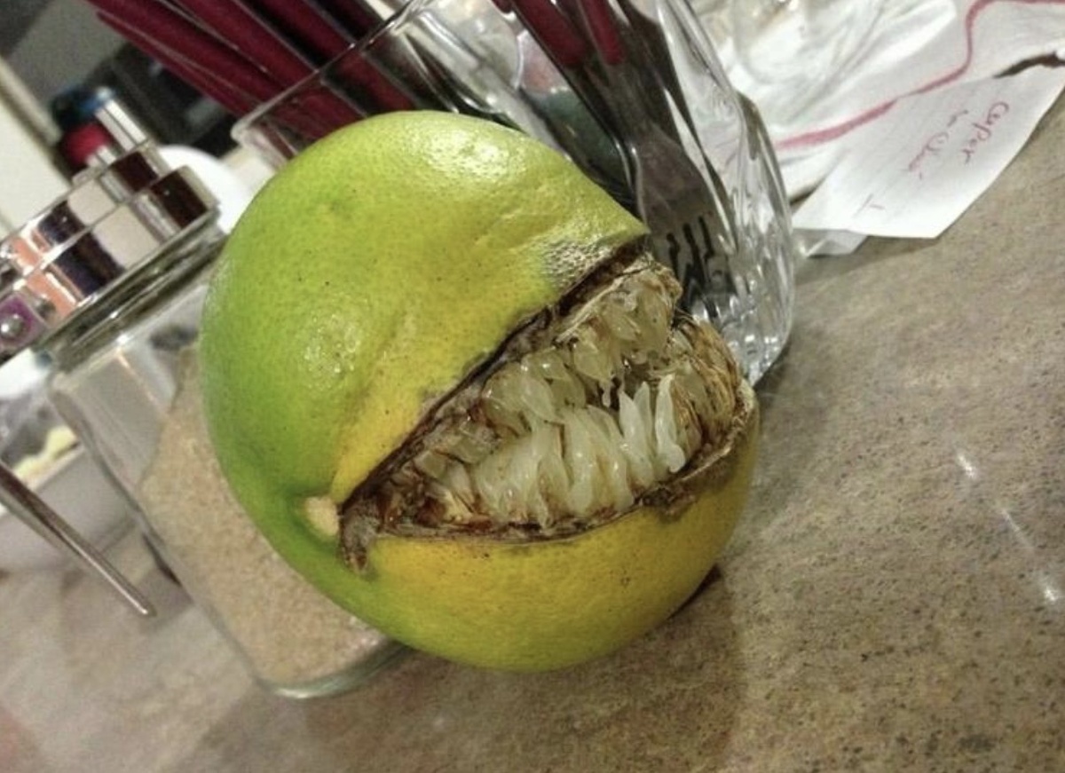 Недозрелый апельсин прямо из ваших кошмаров