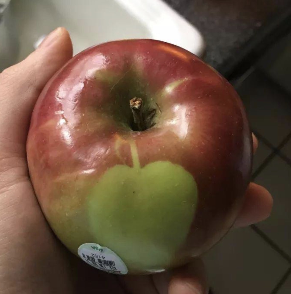 25 запутанных фотографий овощей и фруктов