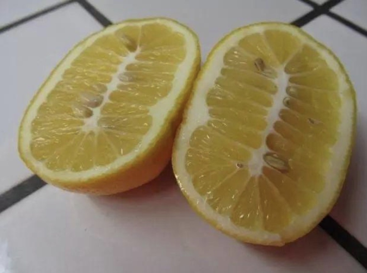 25 запутанных фотографий овощей и фруктов