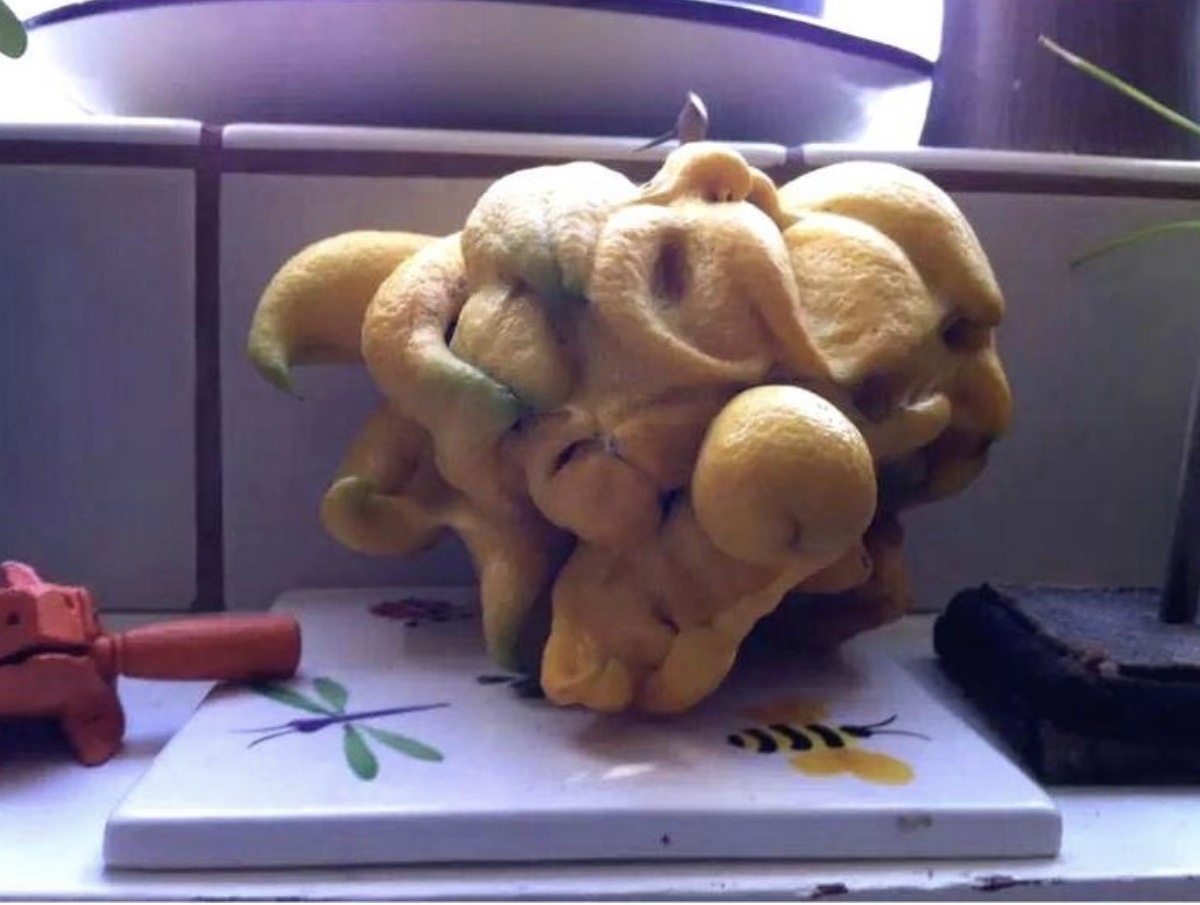 Лимонный монстр