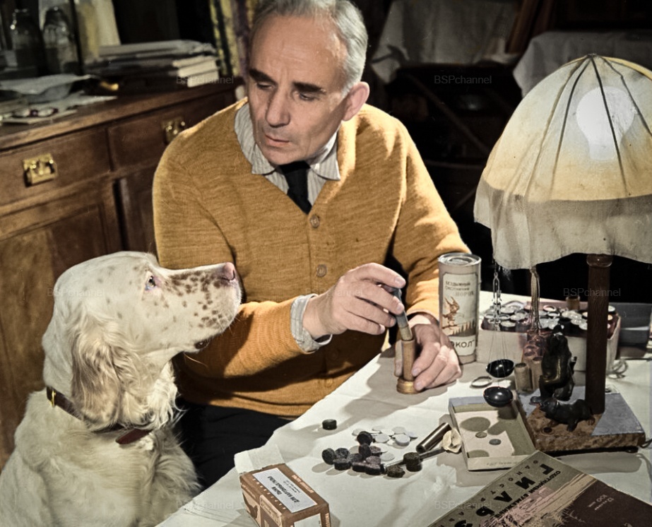 Подборка смешных и забавных фотографий с собаками, которые поднимут настроение