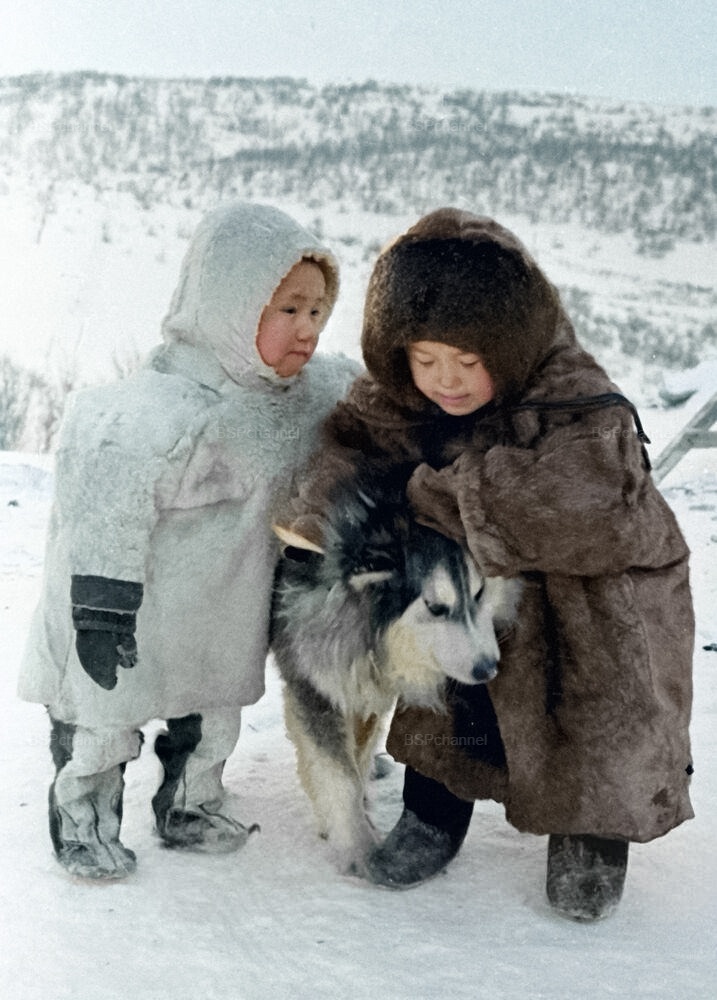 Подборка смешных и забавных фотографий с собаками, которые поднимут настроение