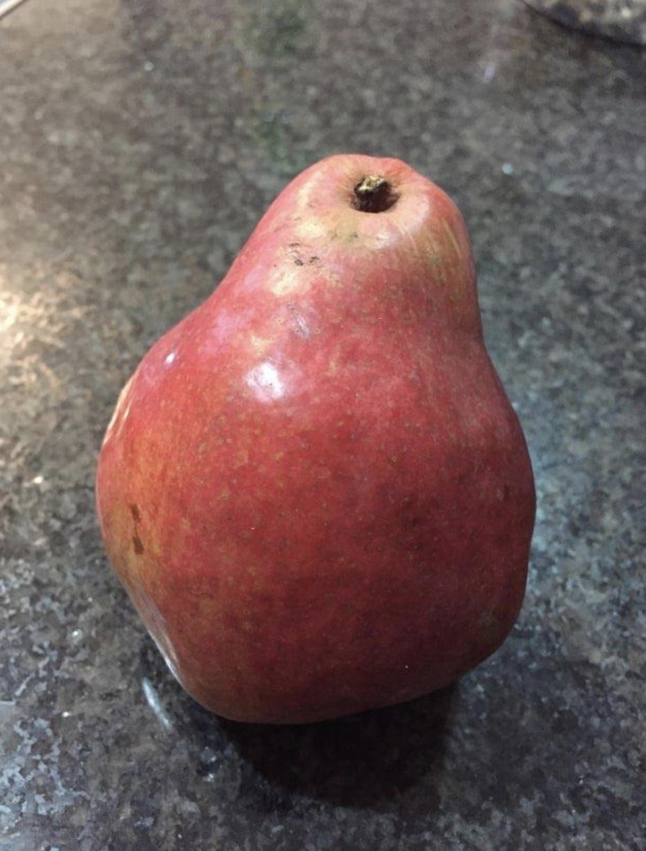 А ещё на эту грушу, чья кожура похожа на яблоко