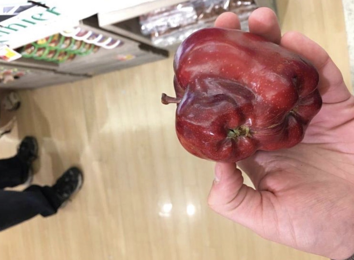 А это настоящее яблоко Франкенштейна
