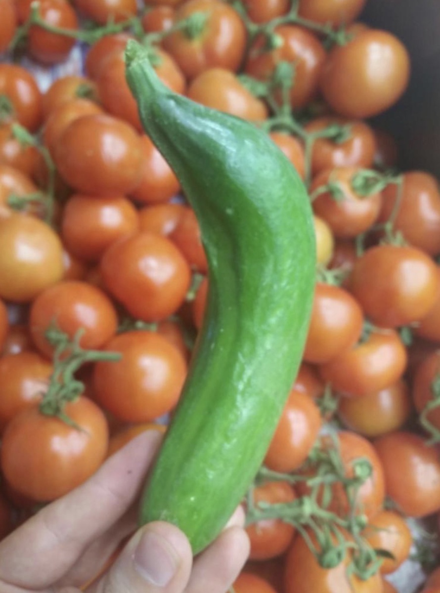 25 запутанных фотографий овощей и фруктов