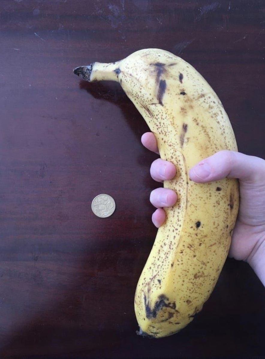 25 запутанных фотографий овощей и фруктов