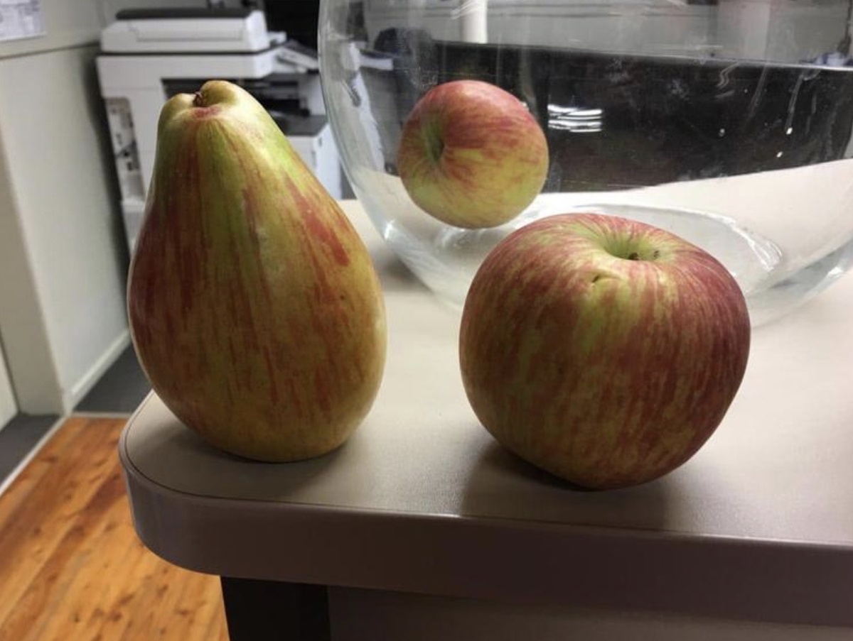 25 запутанных фотографий овощей и фруктов