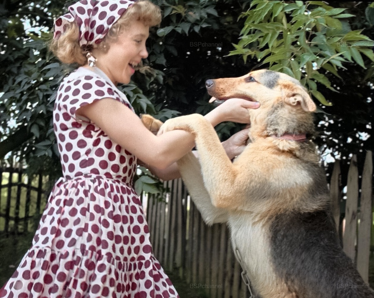 Подборка смешных и забавных фотографий с собаками, которые поднимут настроение