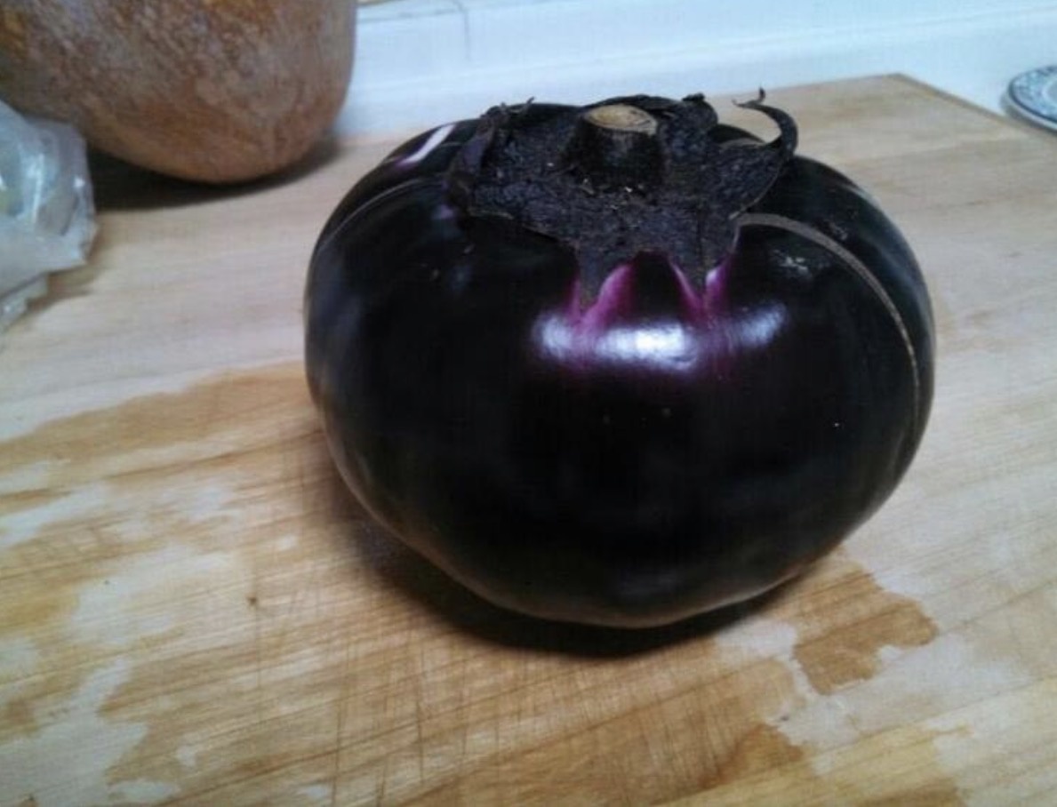 Трудно поверить, но это баклажан