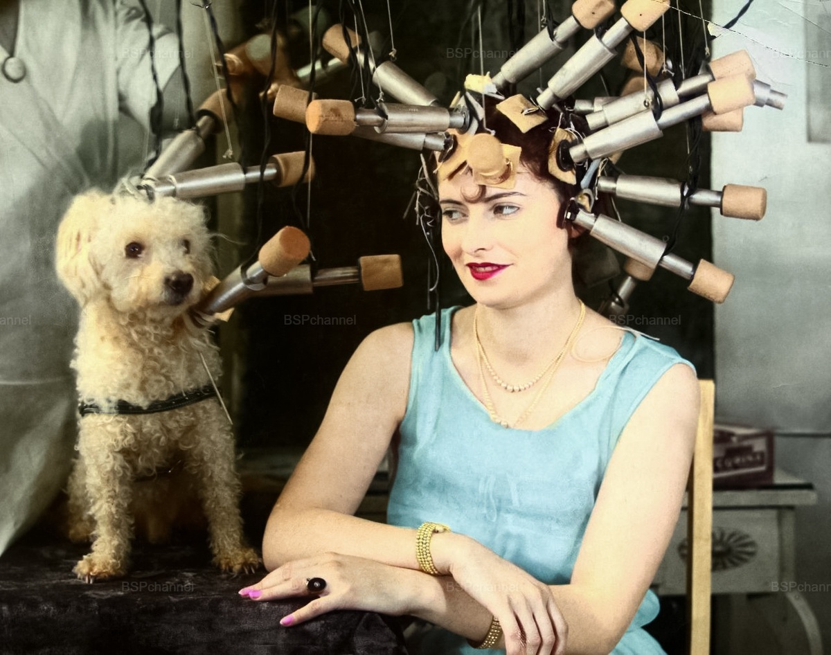 Подборка смешных и забавных фотографий с собаками, которые поднимут настроение