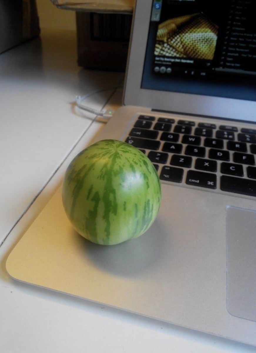 Это помидор, претворяющийся арбузом