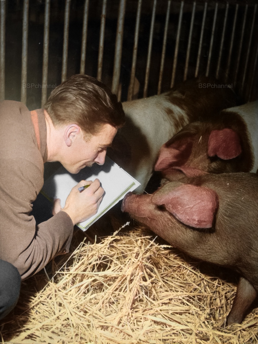 Любопытные фотографии из прошлого Великобритании