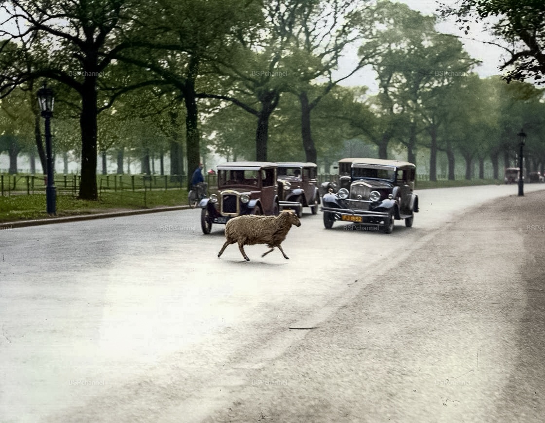 Любопытные фотографии из прошлого Великобритании